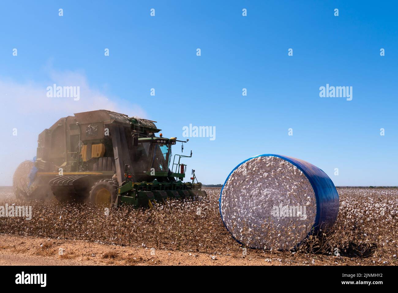 Mato Grosso, Brésil, 18 juillet 2022: Moissonneuse-batteuse moderne travaillant sur la récolte de coton en journée d'été. Mato Grosso, Brésil. Concept d'agriculture. Banque D'Images