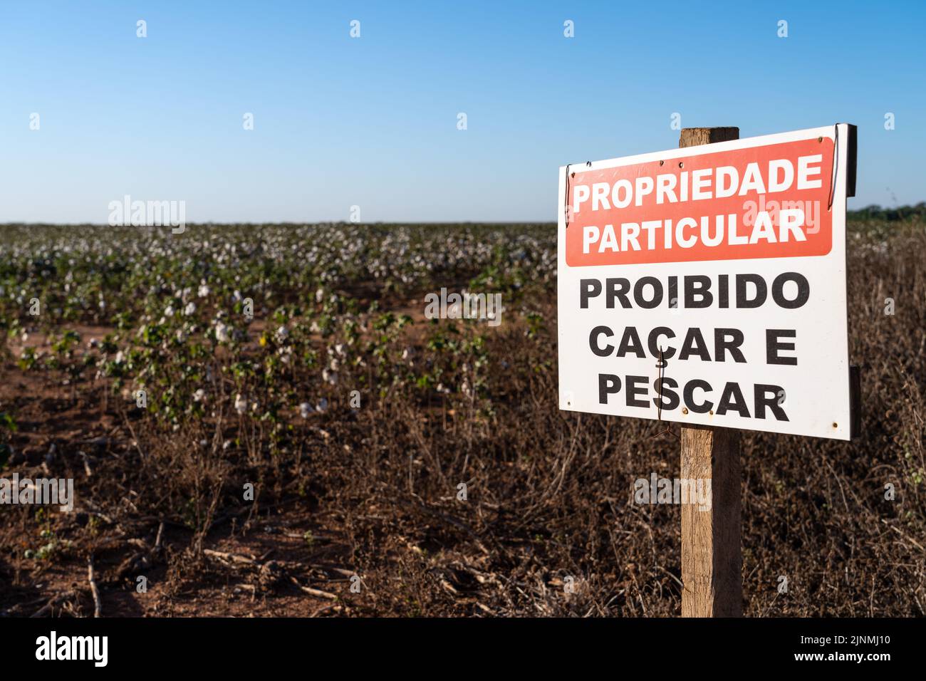 Panneau « pas de chasse et de pêche, propriété privée » sur la ferme de coton, de maïs et de soja sur la route BR-163. Mato Grosso, Brésil. Concept d'agriculture, écologie, Banque D'Images