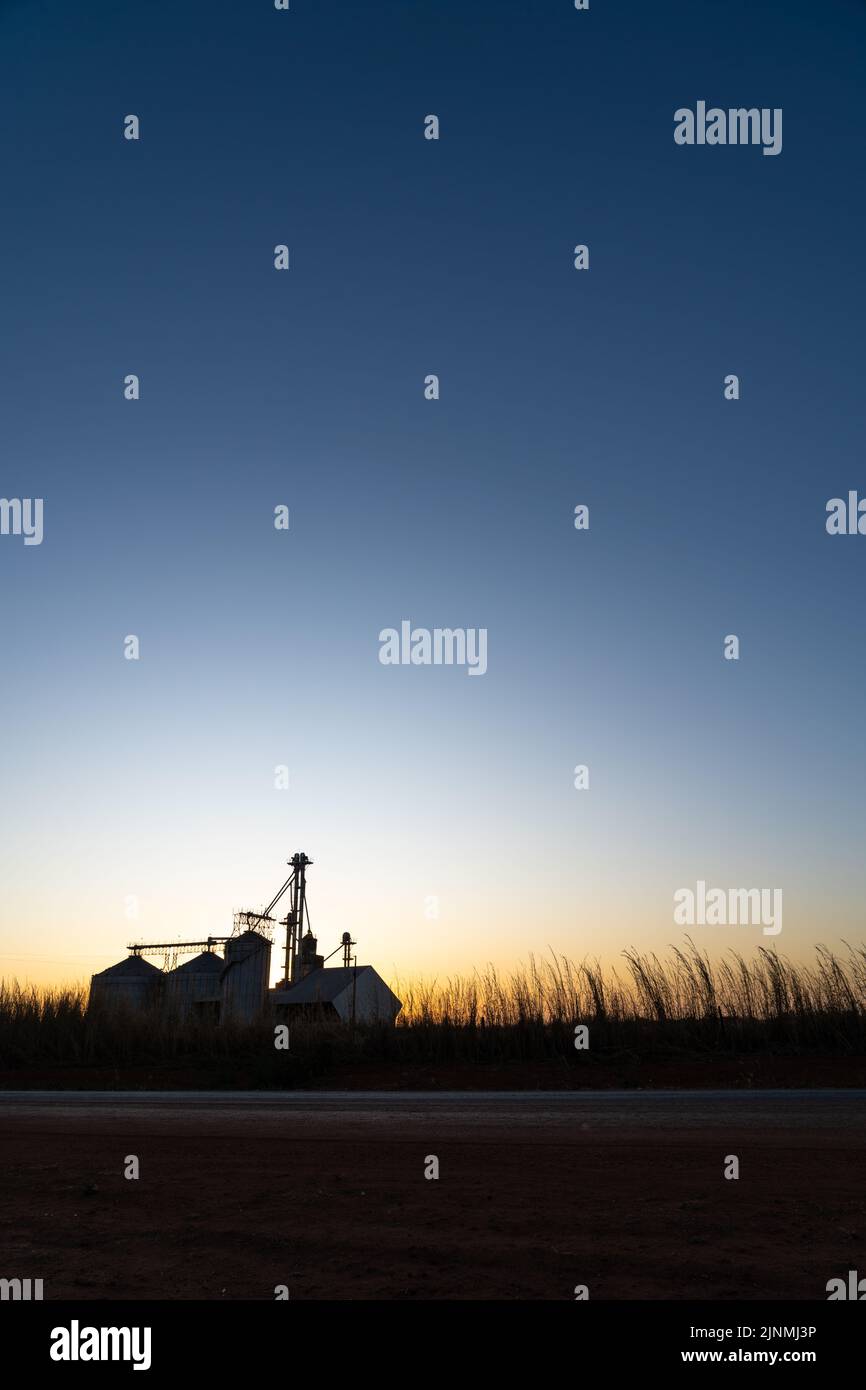 Belle vue de silhouette des silos dans la ferme de soja et la plantation de maïs au coucher du soleil sur la route BR-163. Mato Grosso, Brésil. Concept d'agriculture, écologie. Banque D'Images
