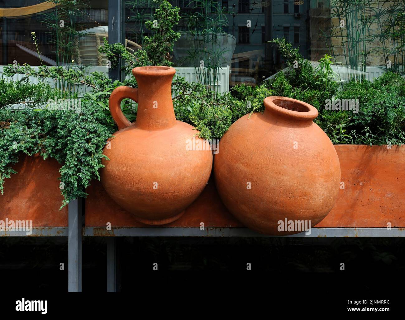 Pots d'argile entre les plantes à feuilles persistantes dans des pots sur le seuil de fenêtre Banque D'Images
