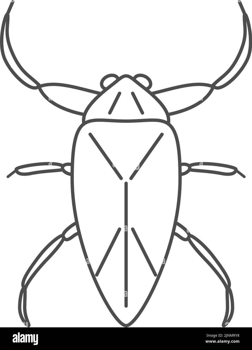 Tagame, insectes qui peuvent être mangés par la nourriture d'insecte Illustration de Vecteur