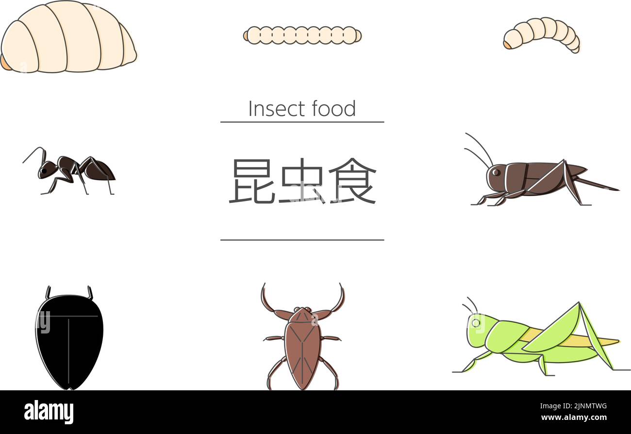 Un ensemble d'insectes qui peuvent être mangés par la nourriture d'insecte --Traduction: Nourriture d'insecte Illustration de Vecteur