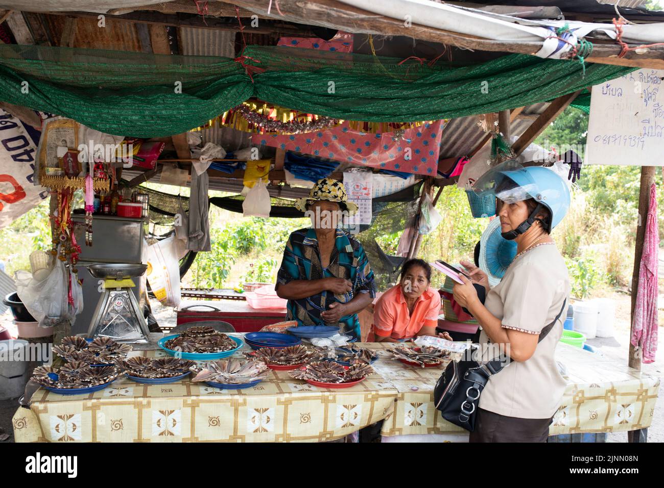 ÎLE DE KOH SAMUI, THAÏLANDE. 26 mars 2016; vie locale sur l'île de Samui. Portrait de la femme et du client vendeur de poisson Banque D'Images