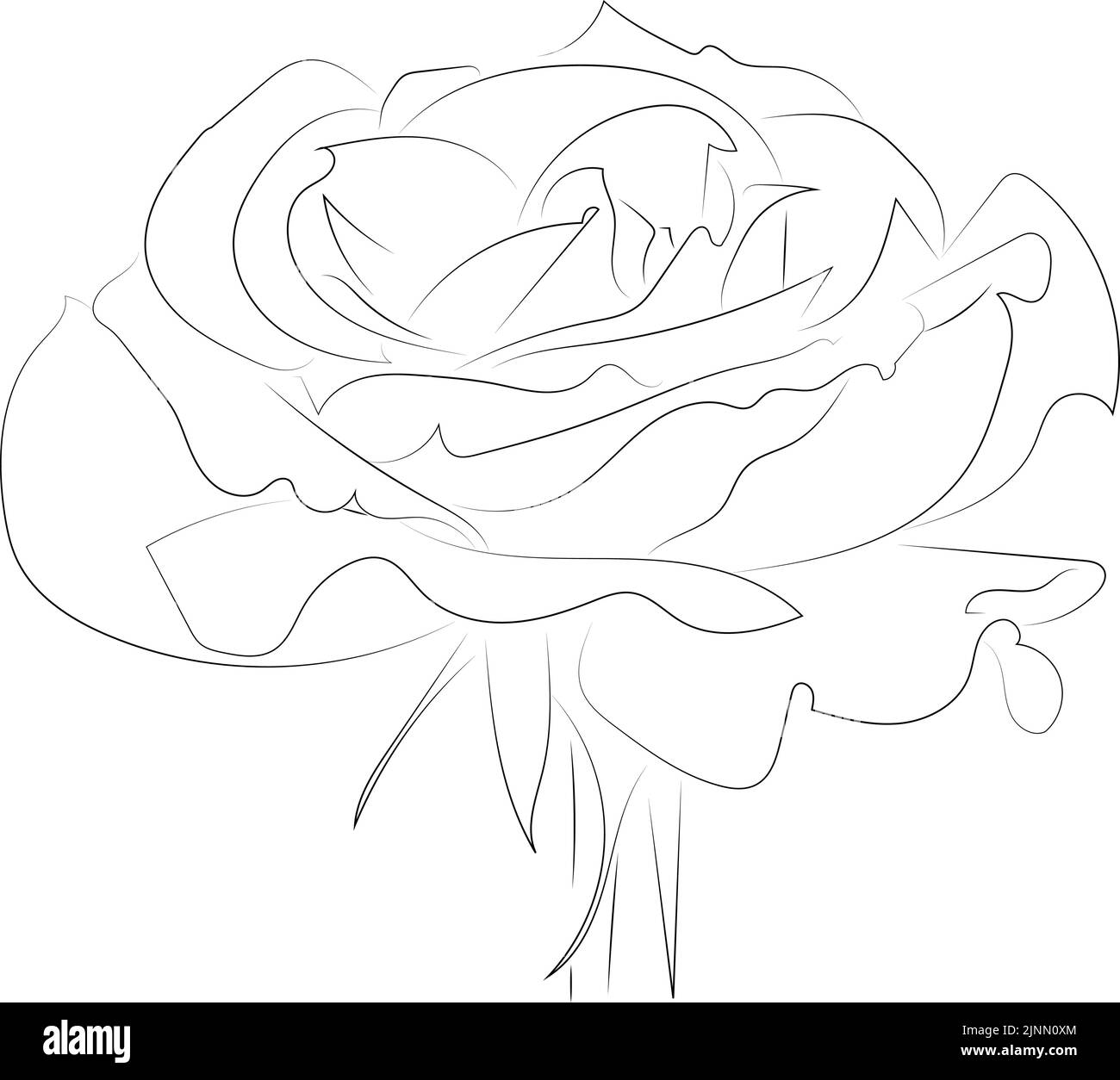 Un motif vectoriel noir et blanc simple d'une fleur sur fond blanc. Illustration de Vecteur