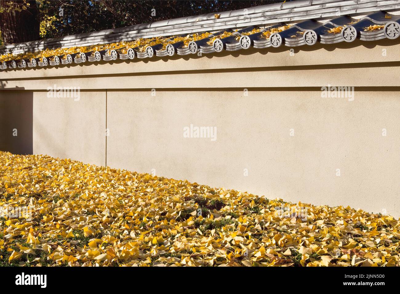 Feuilles de ginkgo d'automne et tuiles de toiture en céramique du temple Honmonji à Ikegami, Tokyo, Japon Banque D'Images