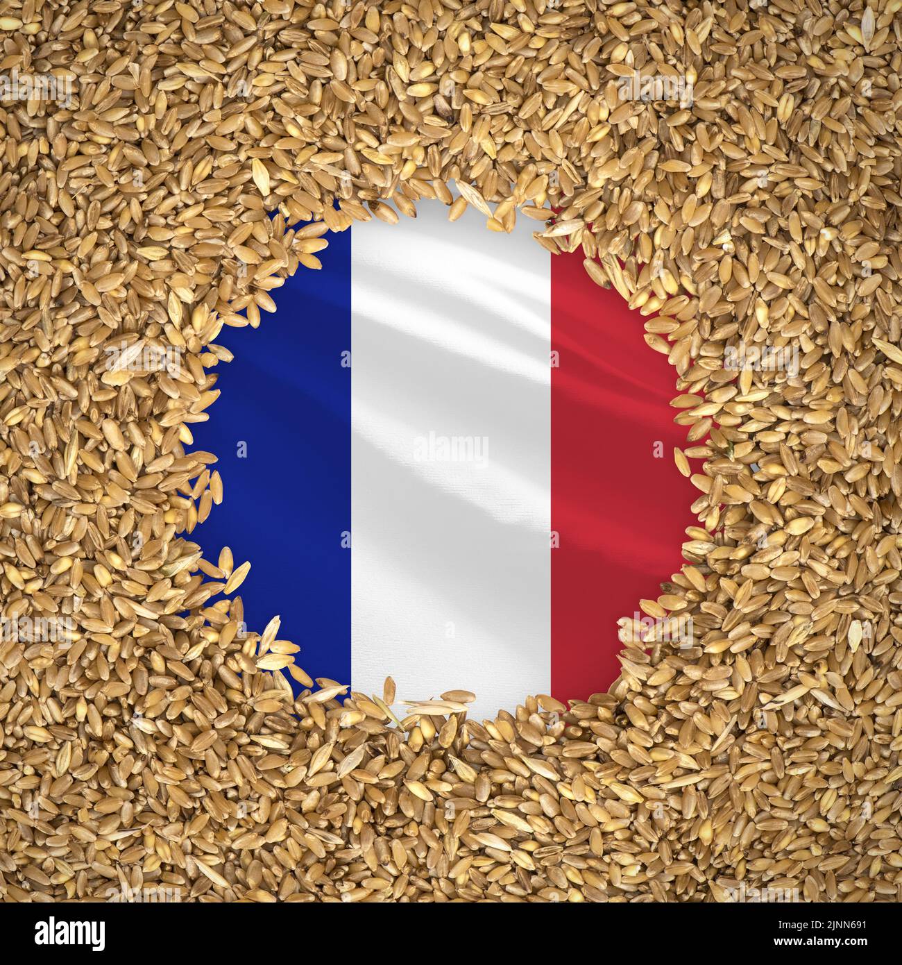 Drapeau de la france avec grains de blé. Concept naturel de blé entier ...