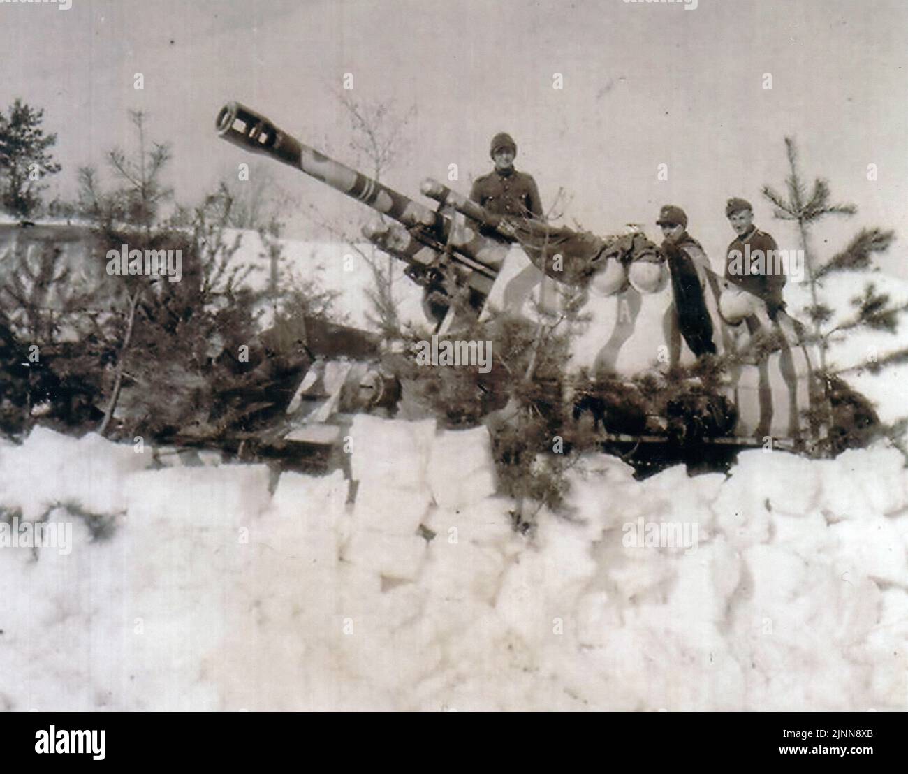 Deuxième Guerre mondiale Wehrmacht Artillerie automotrice Wespe Wasp. Il s'agissait d'un Howitzer 105mm monté sur un châssis de réservoir Banque D'Images