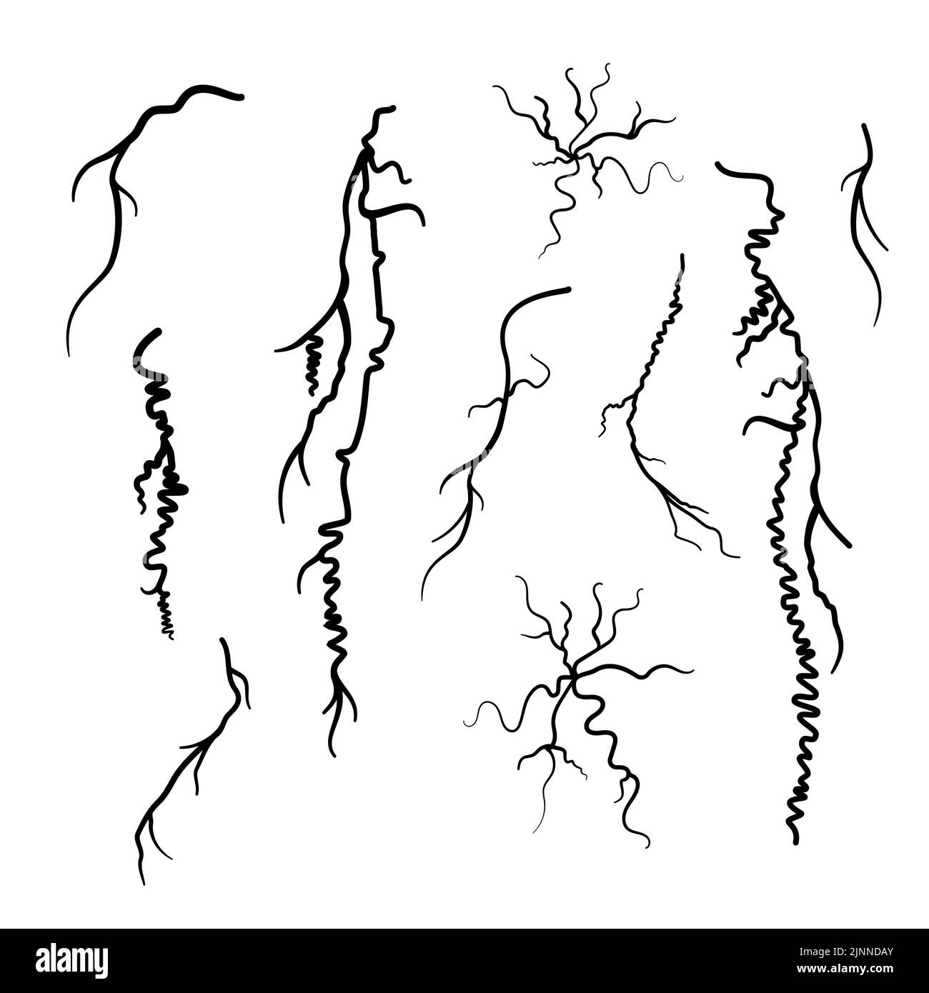 Varices, illustration Banque D'Images