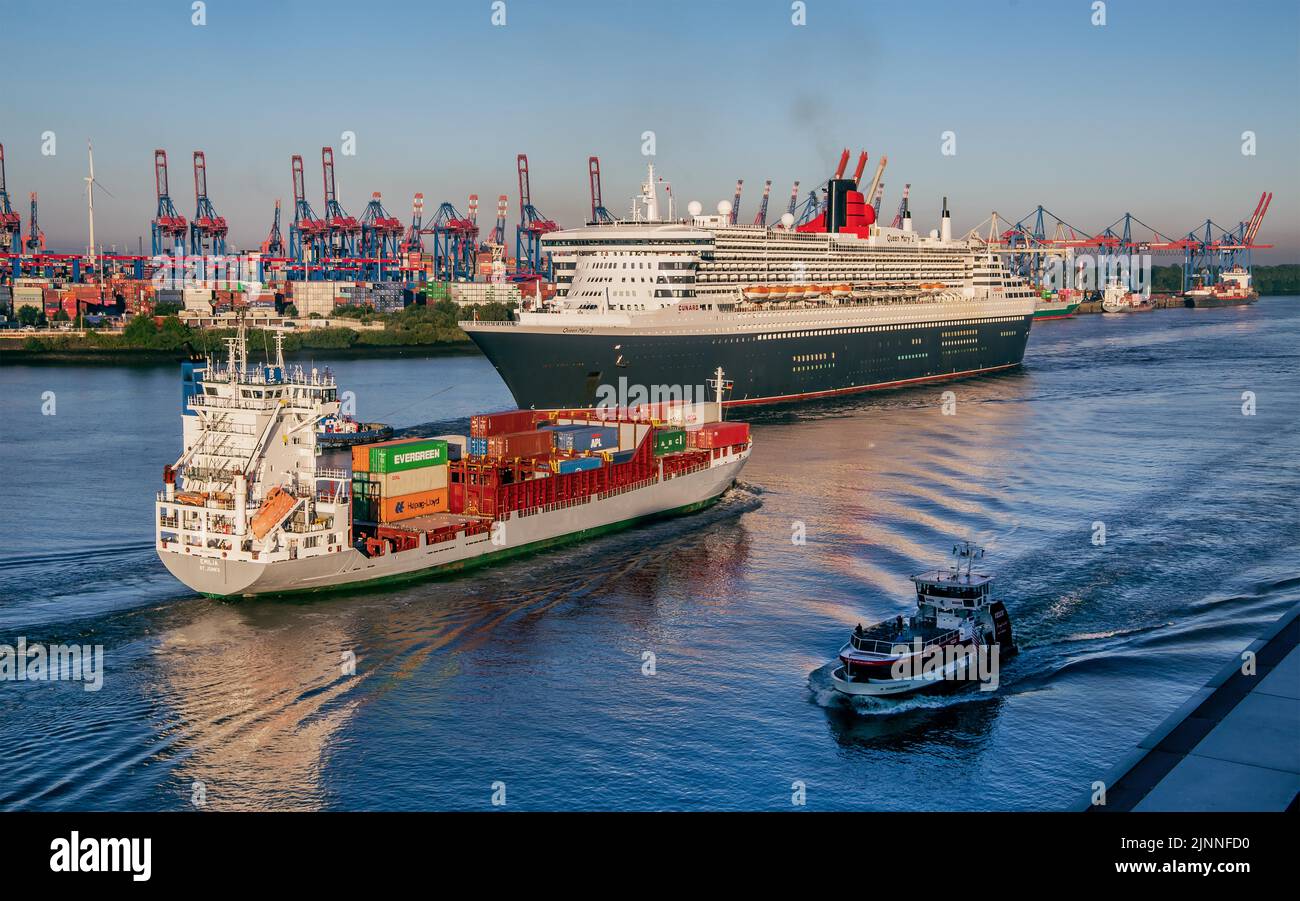 Bateau de croisière, paquebot transatlantique Queen Mary 2 sur l'Elbe dans le port de Hambourg au soleil tôt le matin, Hambourg, Land Hambourg, Allemagne du Nord Banque D'Images