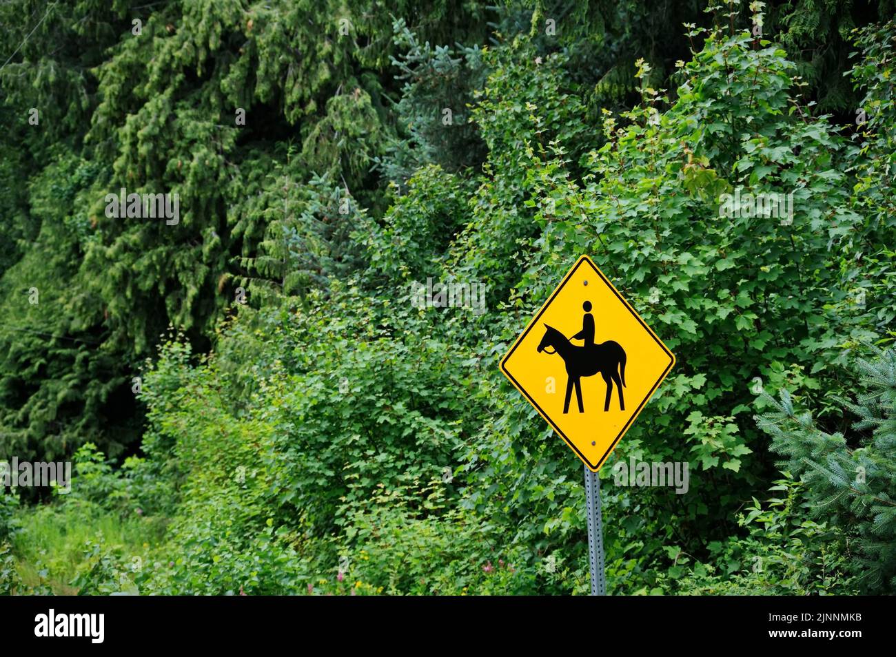 Panneau jaune attention équitation sur la route au Canada Banque D'Images