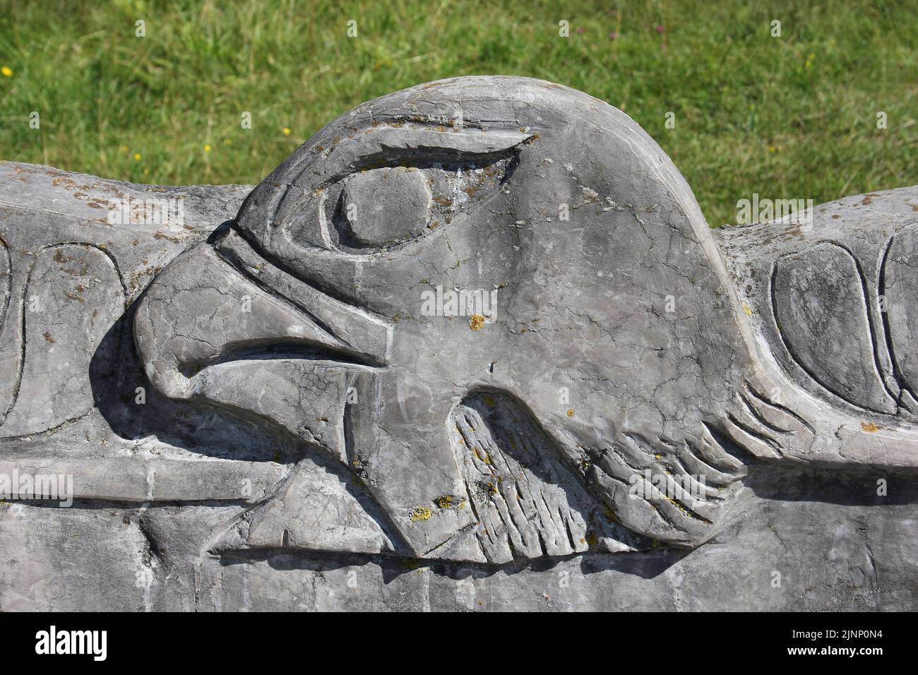 Détails sur la conception des sièges de faucon pèlerin à la carrière de Warton, dans le Lancashire, au Royaume-Uni, où cet oiseau de proie niche régulièrement Banque D'Images