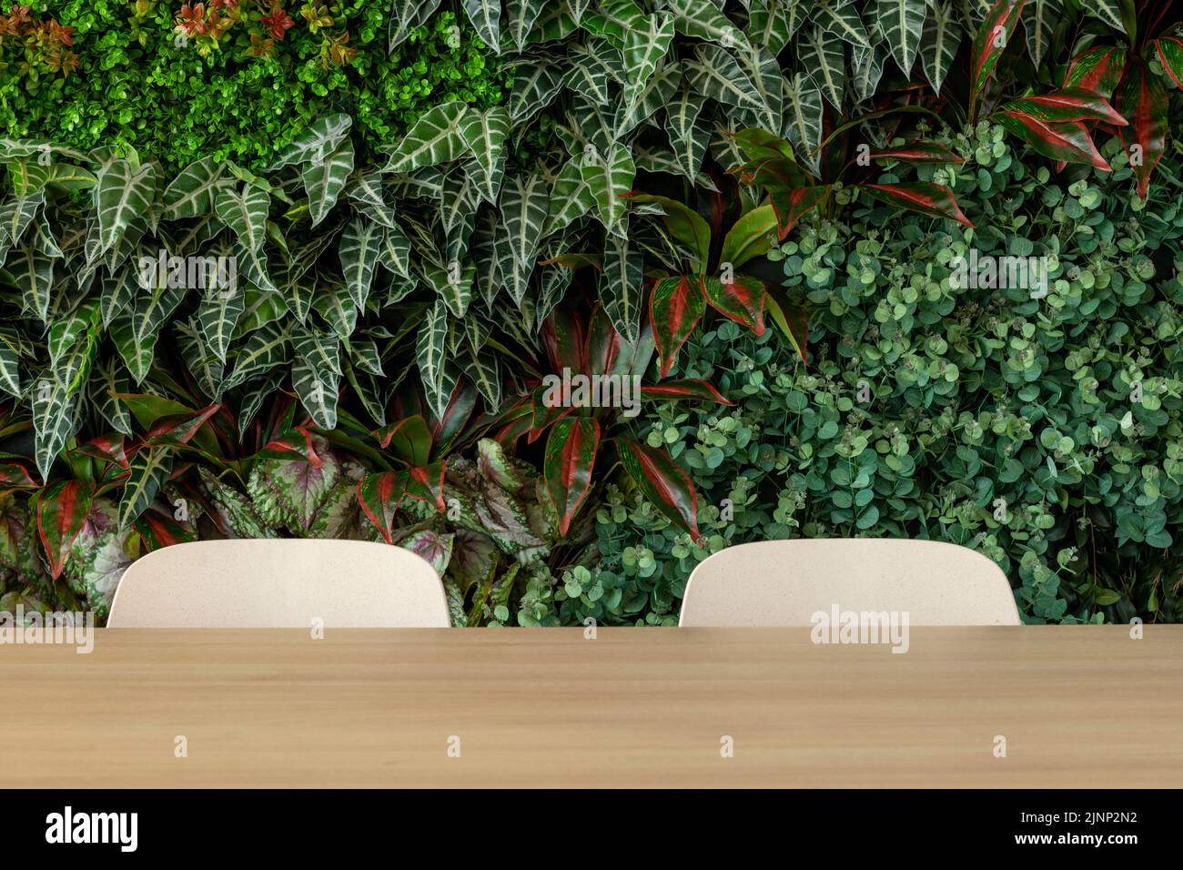 Salon vert avec chaises et table, jardin vertical - photo de stock Banque D'Images