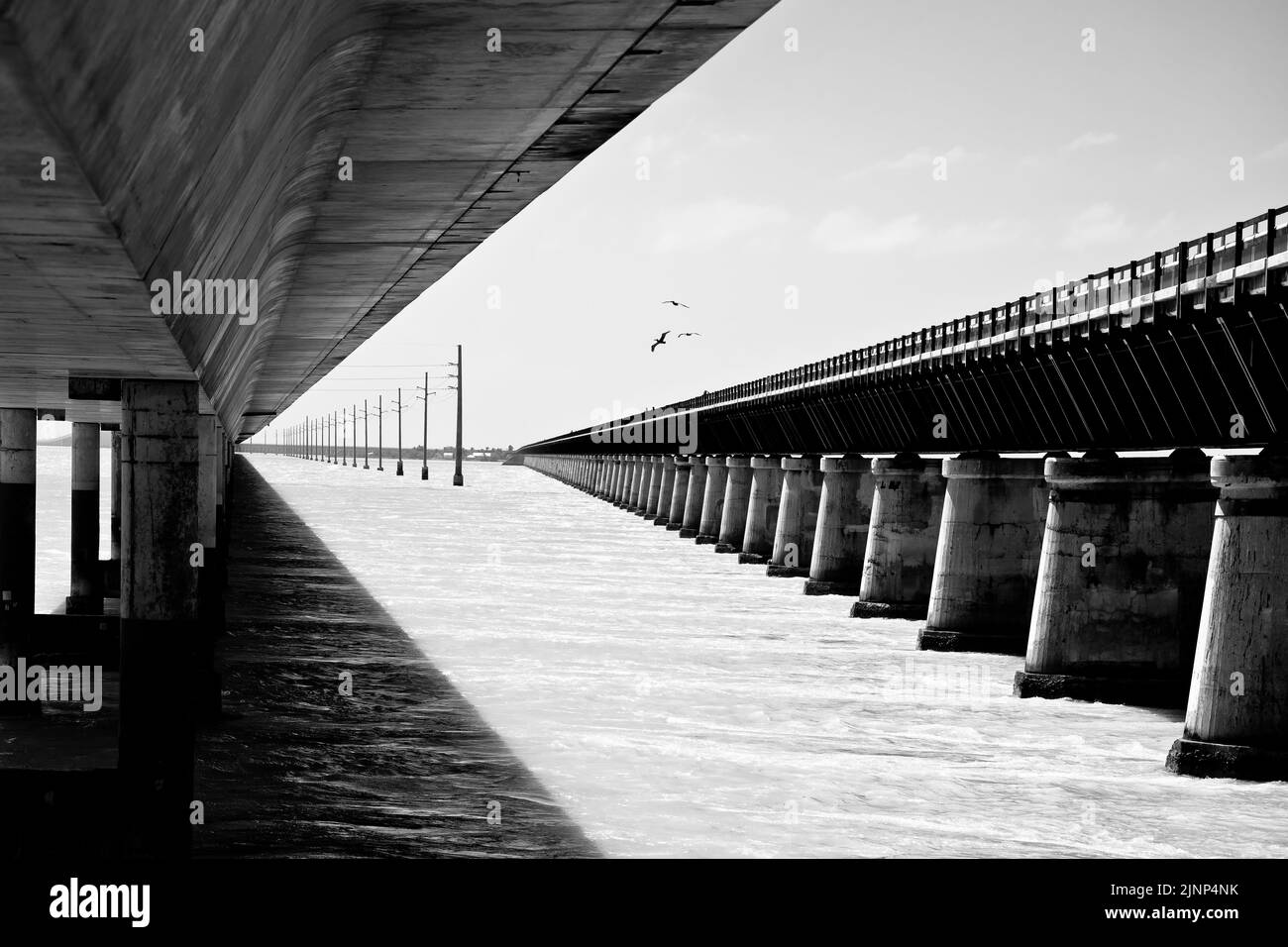 Seven Mile Bridges Old et New in Marathon Black and White View, U. S. route 1 à Florida Keys, sud de la Floride, États-Unis d'Amérique Banque D'Images Seven Mile Bridges Old et New in Marathon Black and White View, U. S. route 1 à Florida Keys, sud de la Floride, États-Unis d'Amérique Banque D'Images