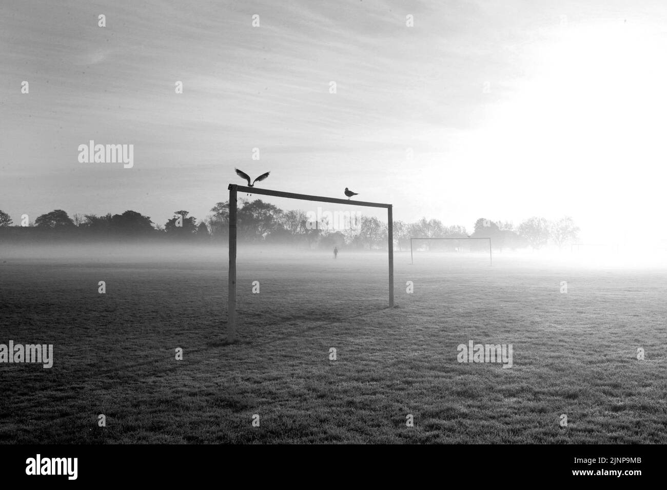 Poteaux de but noir et blanc brumeux dans un champ vide avec des oiseaux Banque D'Images