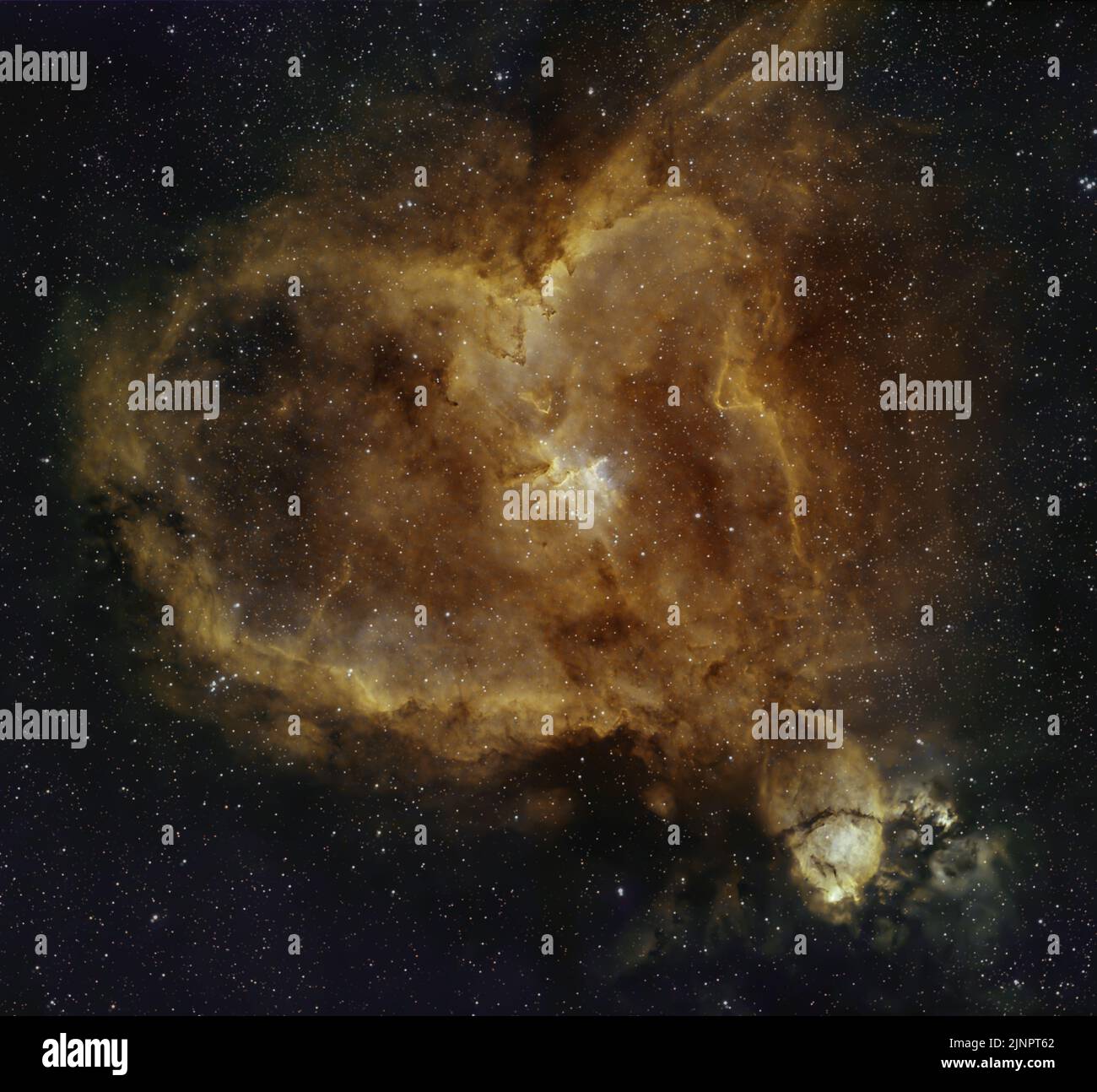 Nébuleuse du coeur (IC 1805) et nébuleuse de la tête de poisson (IC 1795), nébuleuse d'émission dans la constellation de Cassiopée Casseopeiae. Photographié du Royaume-Uni Banque D'Images
