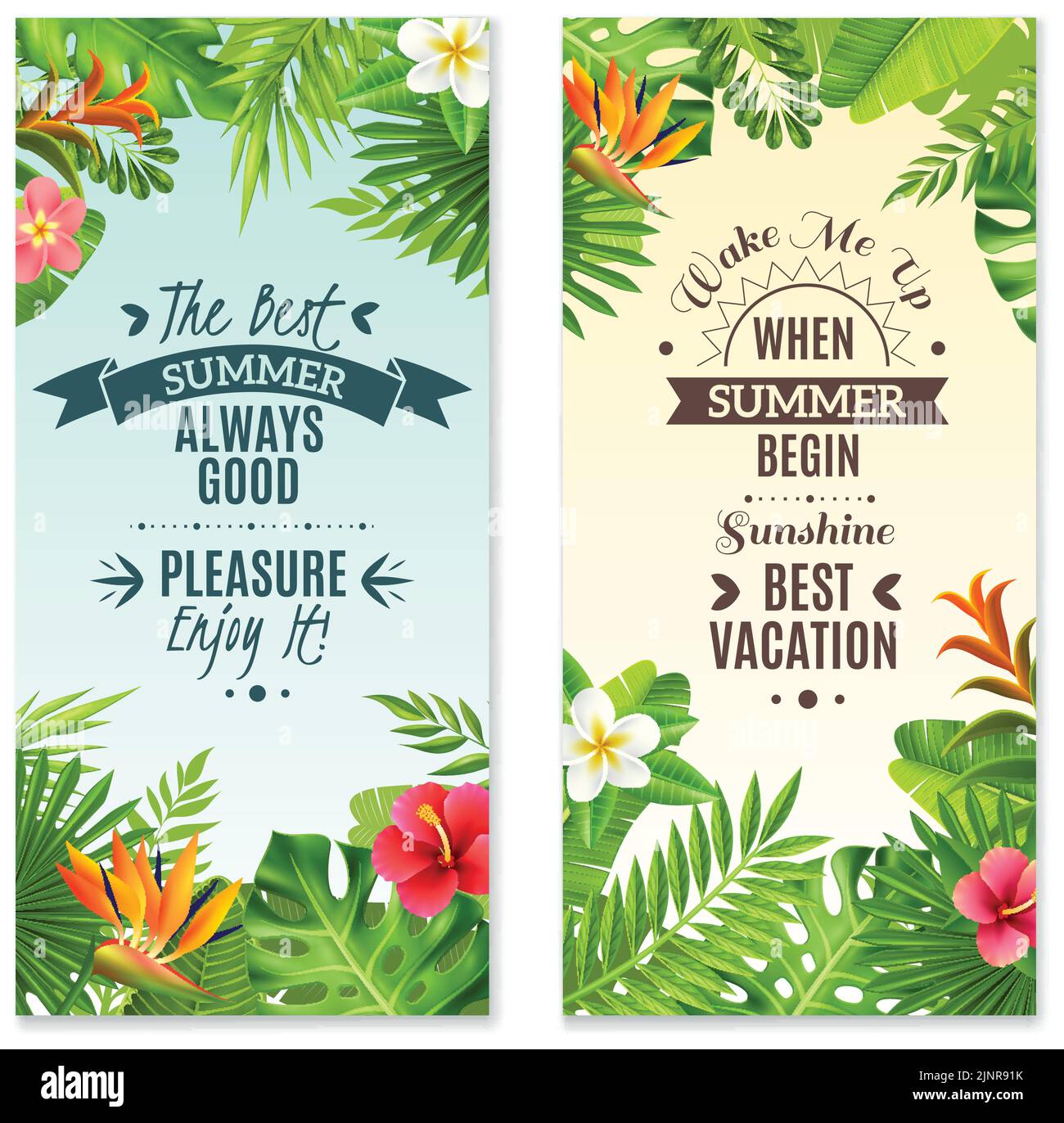 Vacances d'été dans la forêt tropicale 2 bannières verticales avec hibiscus et oiseau paradis plantes fleurs isolé illustration vectorielle Illustration de Vecteur