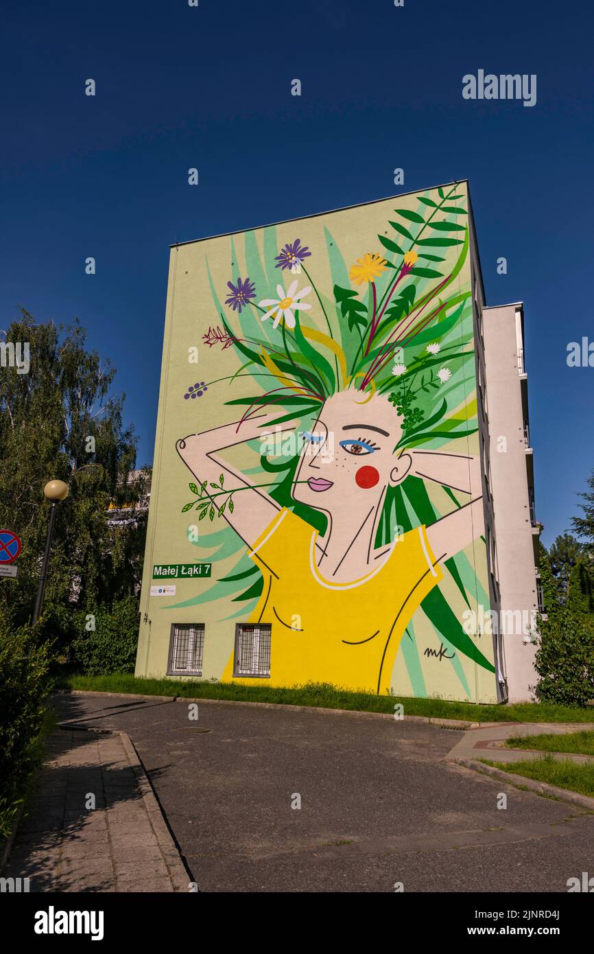 Peintures murales à Varsovie, Pologne Banque D'Images