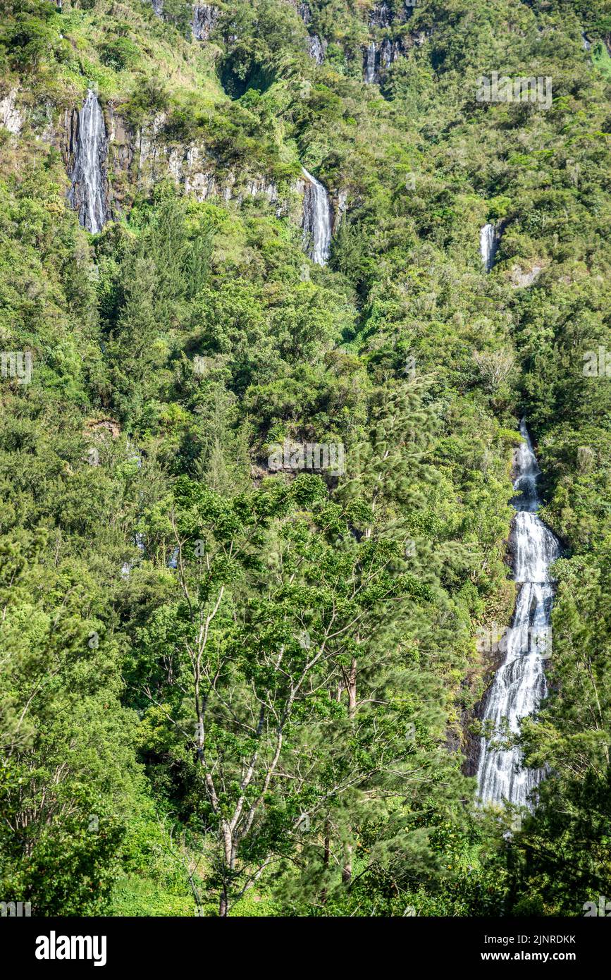 Cascade du voile de la Mariee (chute d'eau de la mariée Veil), Île de la Réunion, France Banque D'Images