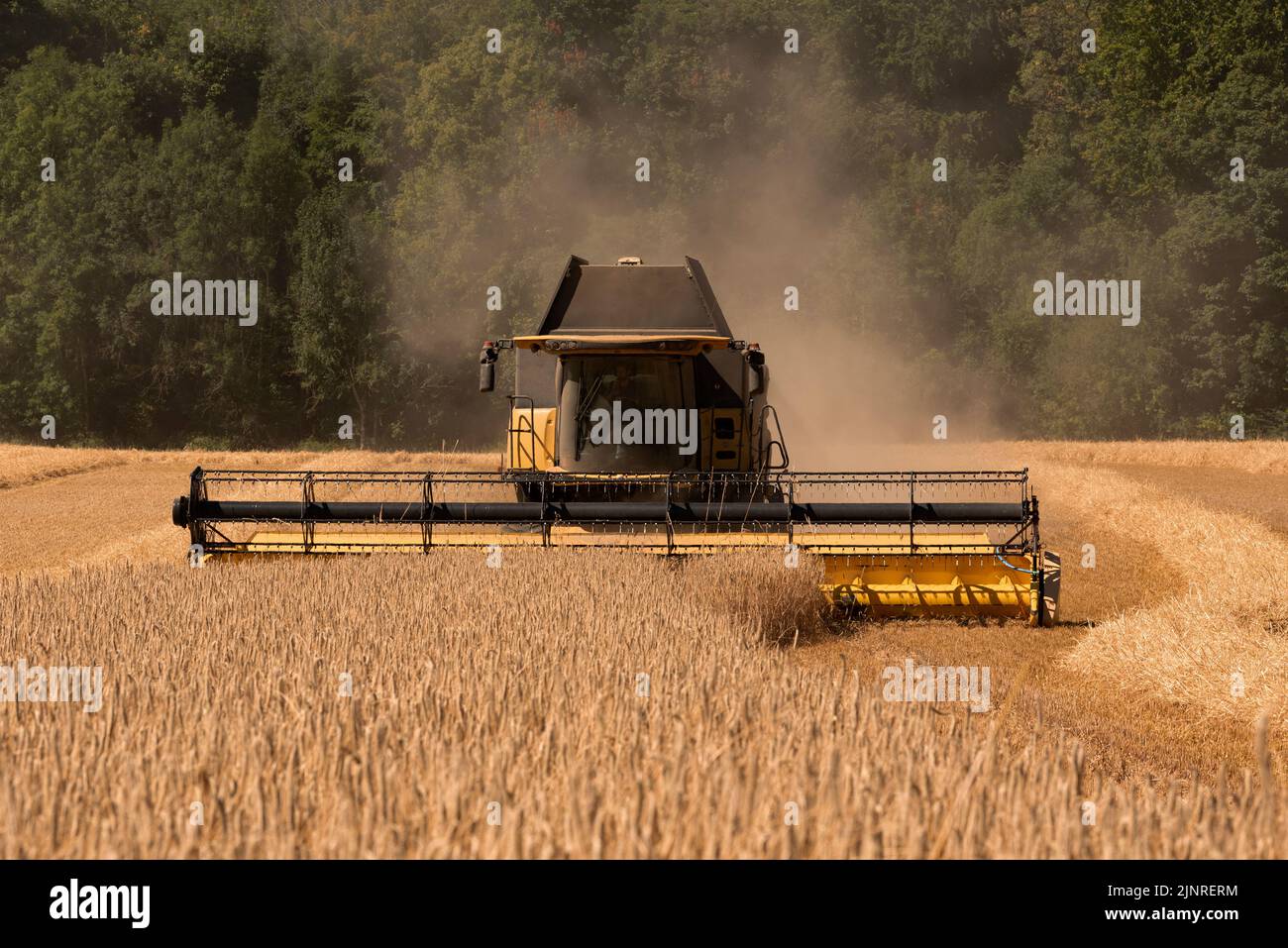 KINETON, Gloucestershire, Angleterre, Royaume-Uni. 2022. Moissonneuse-batteuse récoltant du seigle dans une ferme des Cotwolds au milieu de l'été 2022. Banque D'Images