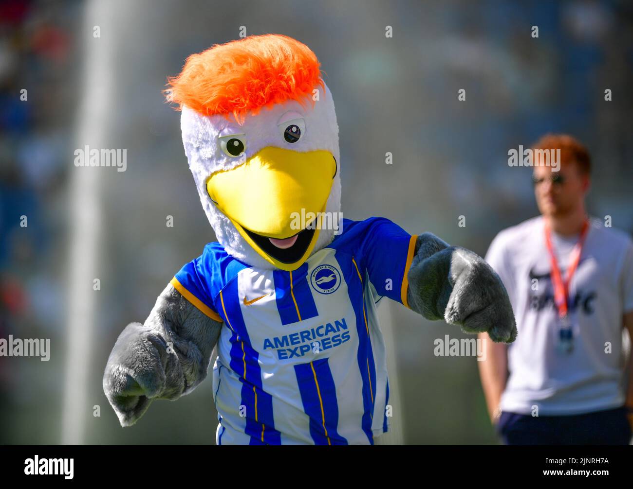 Brighton, Royaume-Uni. 13th août 2022. La mascotte de Brighton Gully avant le match de la Premier League entre Brighton & Hove Albion et Newcastle United à l'Amex on 13 août 2022 à Brighton, en Angleterre. (Photo de Jeff Mood/phcimages.com) Credit: PHC Images/Alamy Live News Banque D'Images