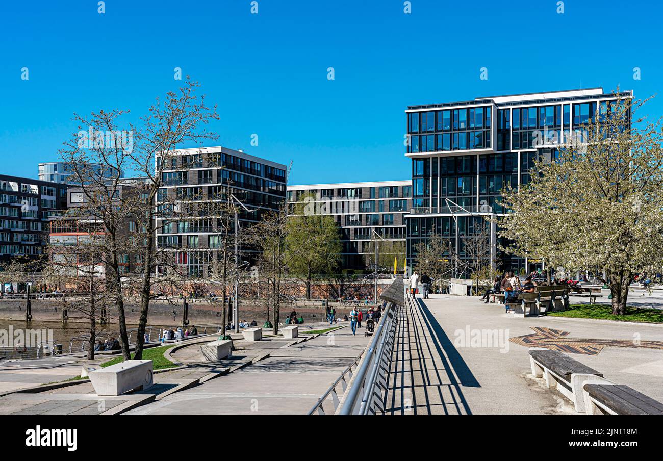 Terrasses de Marco Polo à Grasbrookhafen, Hambourg Banque D'Images