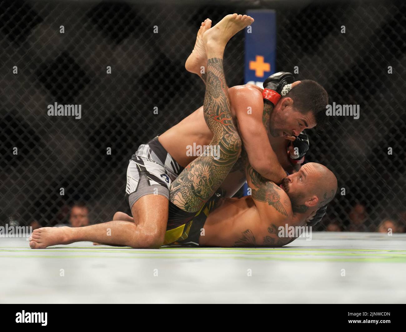 SAN DIEGO, CA - AOÛT 13: Dominic Cruz (haut) contrôle le corps de Marlon Vera dans leur combat de poids de Bantamweight pendant la nuit de combat UFC: Vera v Cruz événement à Pechanga Arena sur 13 août 2022, à San Diego, Californie, États-Unis. (Photo de Louis Grasse/PxImages) Banque D'Images