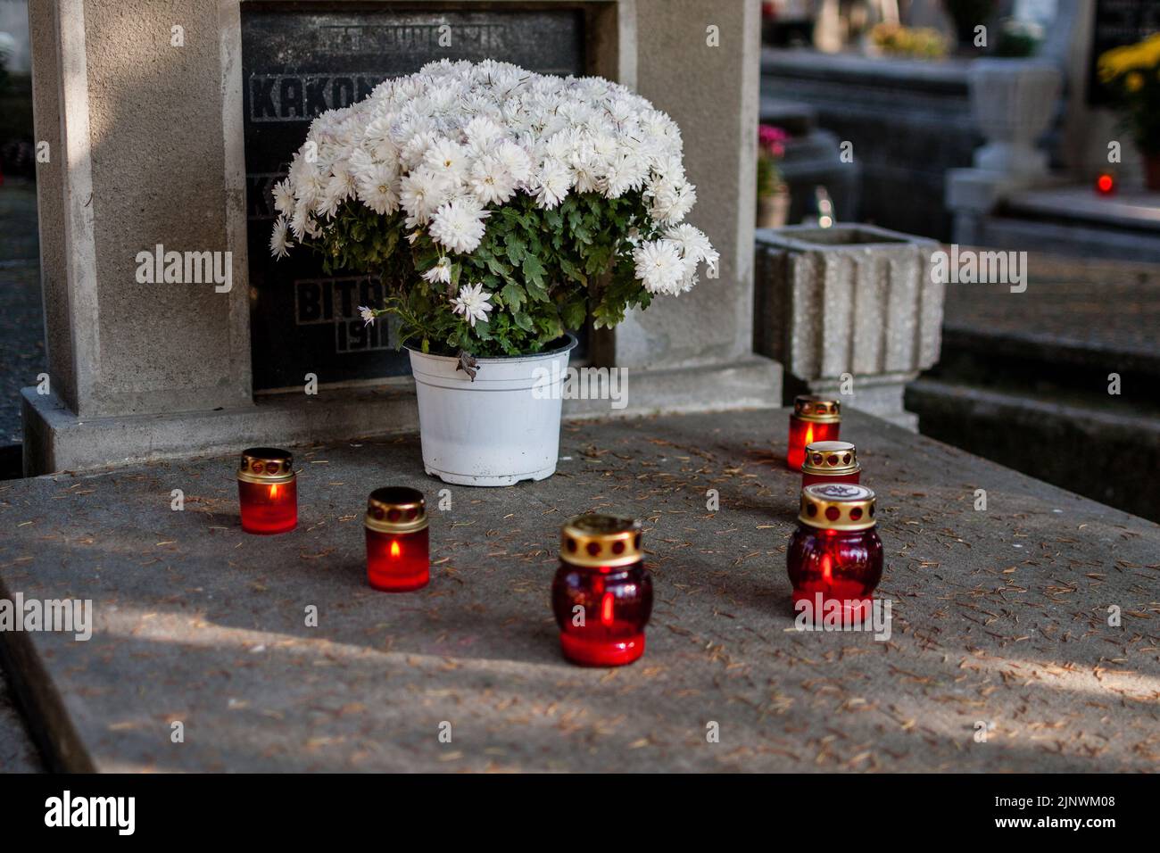 Transylvanie/ Marosvasarhely/30.10.2021: Photo de quelques bougies allumées et quelques fleurs sur une tombe un jour avant la Toussaint à l'intérieur du chat romain Banque D'Images