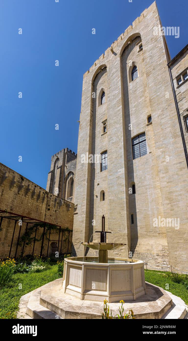 Fontaine dans les jardins du Palais des Papes - Palais des Papes, Avignon, Vaucluse, France. Le Centre historique d'Avignon est un monde de l'UNESCO il Banque D'Images