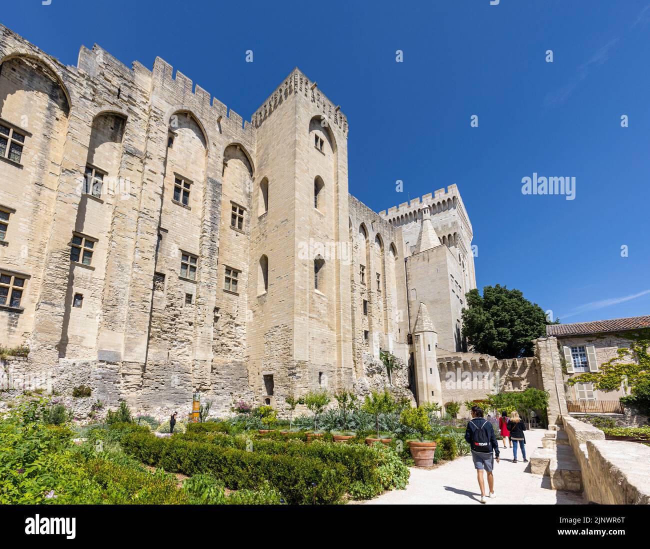 Les jardins du Palais des Papes - Palais des Papes, Avignon, Vaucluse, France. Le Centre historique d'Avignon est un site classé au patrimoine mondial de l'UNESCO. Banque D'Images