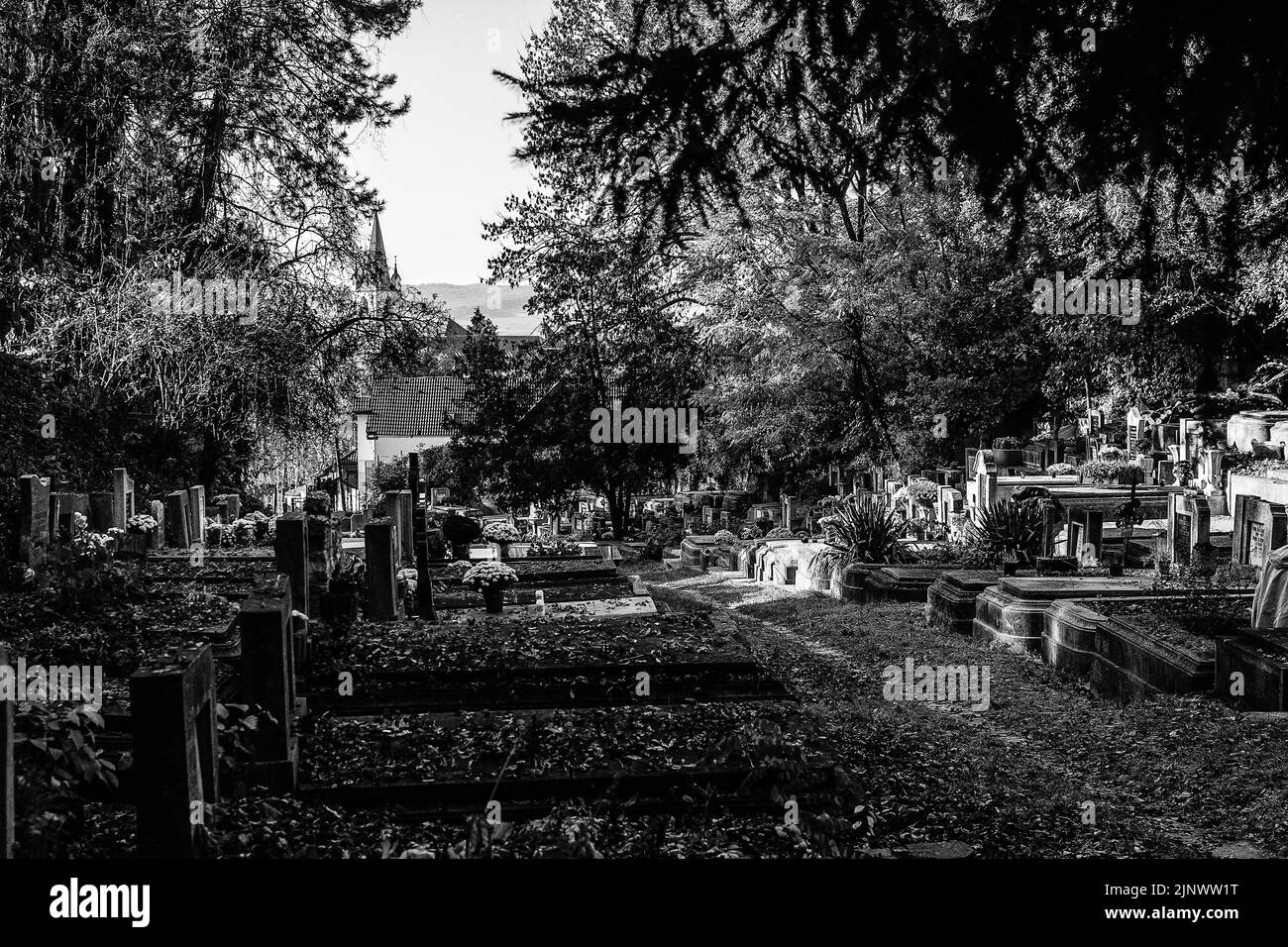 Transylvanie/ Marosvasarhely/30.10.2021: Photo en noir et blanc du cimetière catholique romain la veille de la Toussaint. À l'extrême gauche on peut se Banque D'Images