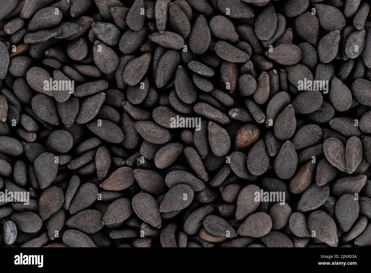 Tas de graines de sésame noir, détails de microscopie, largeur d'image 23mm Banque D'Images