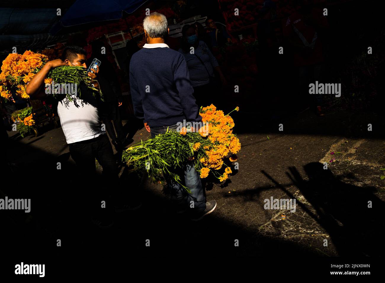 Les hommes mexicains portent des bunches de fleurs de marigold (Flor de Muertos) pour les célébrations du jour des morts sur le marché de Mexico, Mexique. Banque D'Images