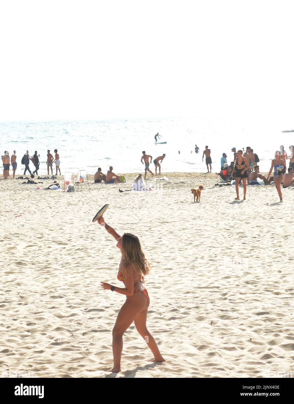 Jouer à Matkot ( paddle ball ) sur la plage de tel-Aviv, Israël. Banque D'Images