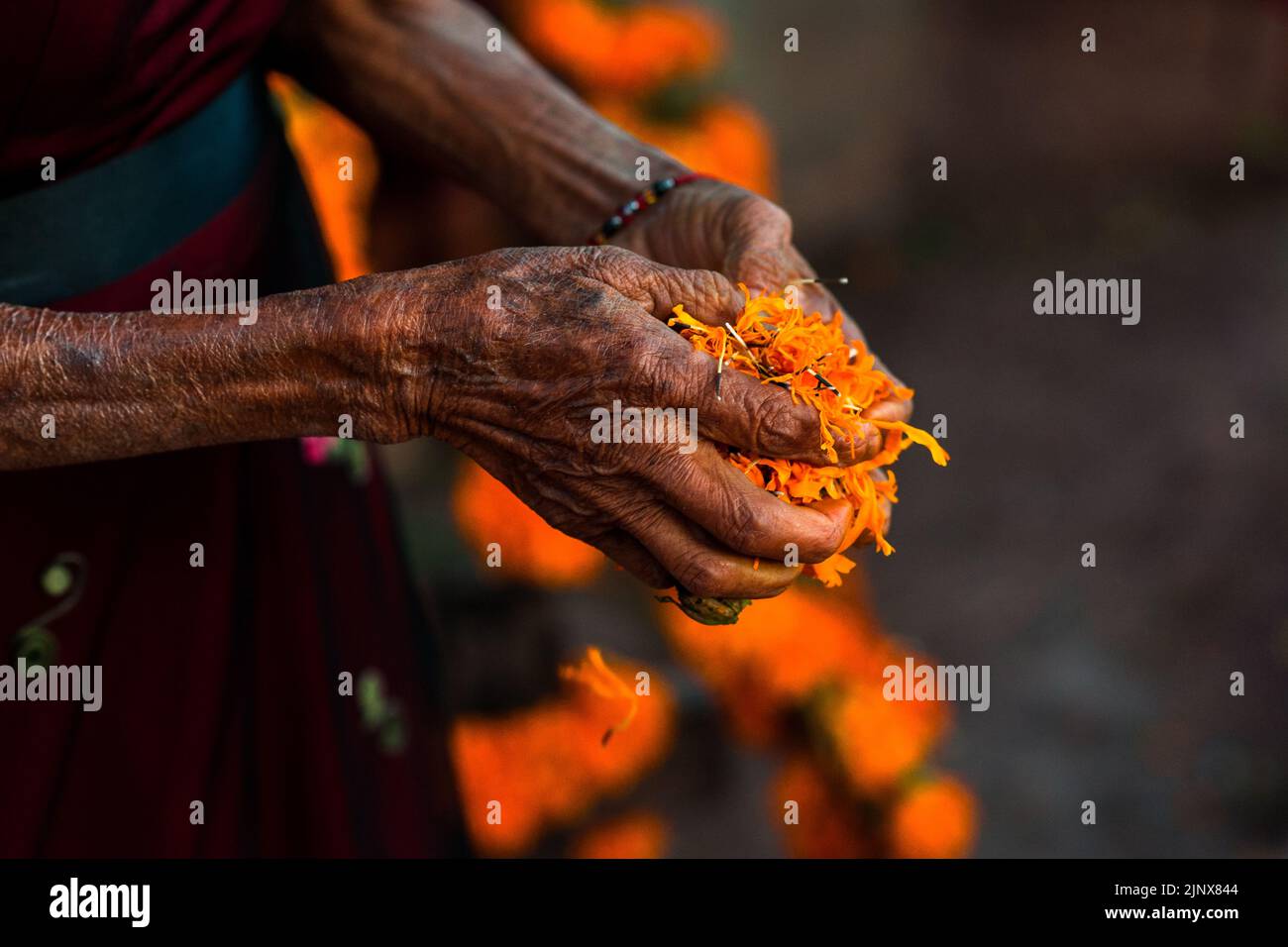 Une femme indigène Mixtec décore une tombe dans un cimetière lors des célébrations du jour des morts à Xalpatláhuac, Guerrero, Mexique. Banque D'Images