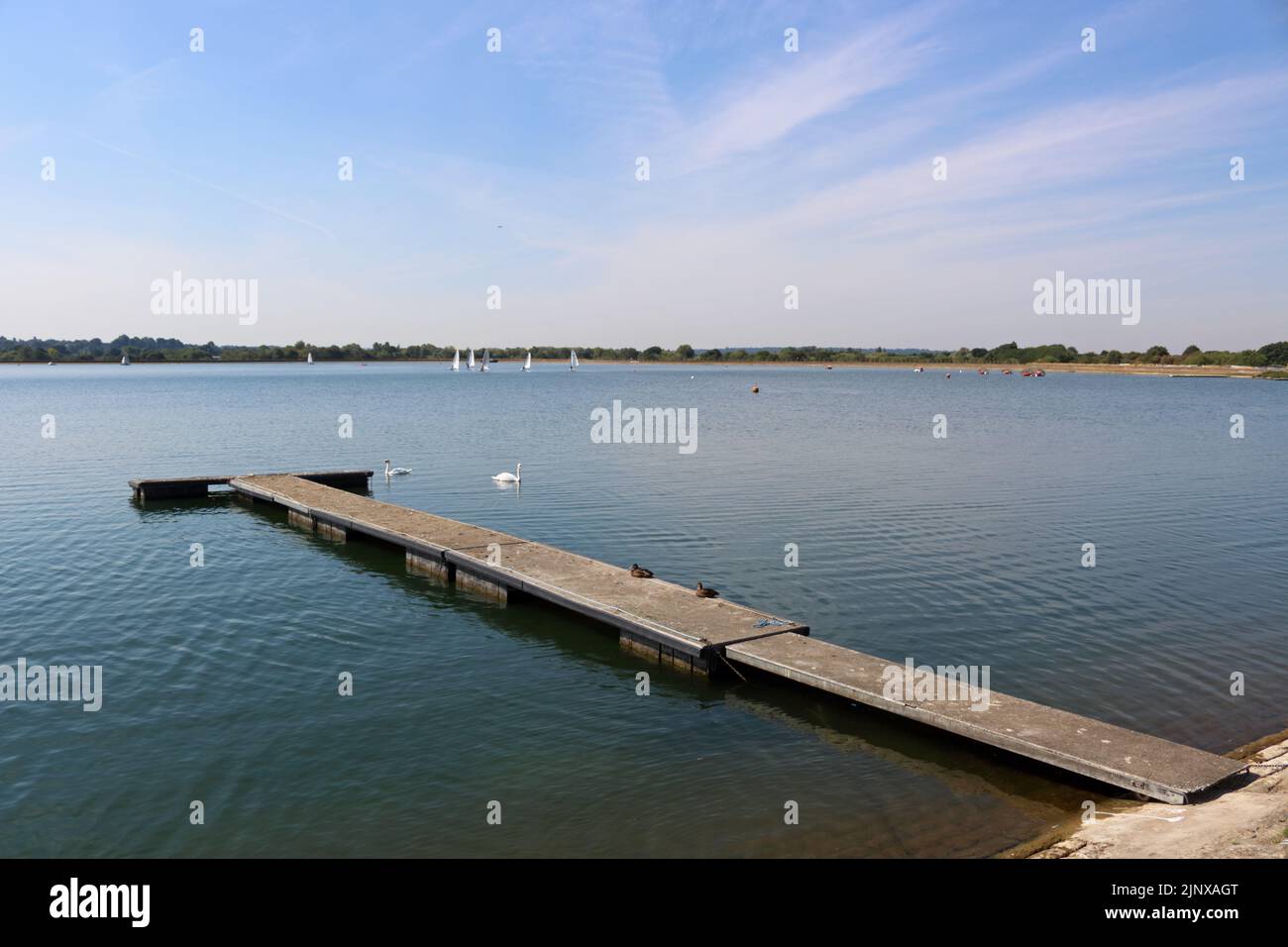 Island Barn Reservoir, Molesey, Surrey, Royaume-Uni. 14th août 2022. Comme la sécheresse est déclarée dans plusieurs régions du Royaume-Uni, les niveaux d'eau du Island Barn Reservoir à Molesey, Surrey, sont légèrement inférieurs à la normale. Ce réservoir est l'un des nombreux dans la région gérée par Thames Water qui fournit de l'eau potable à 15 clients de la région de Londres et de la vallée de la Tamise. Crédit : Julia Gavin/Alamy Live News Banque D'Images