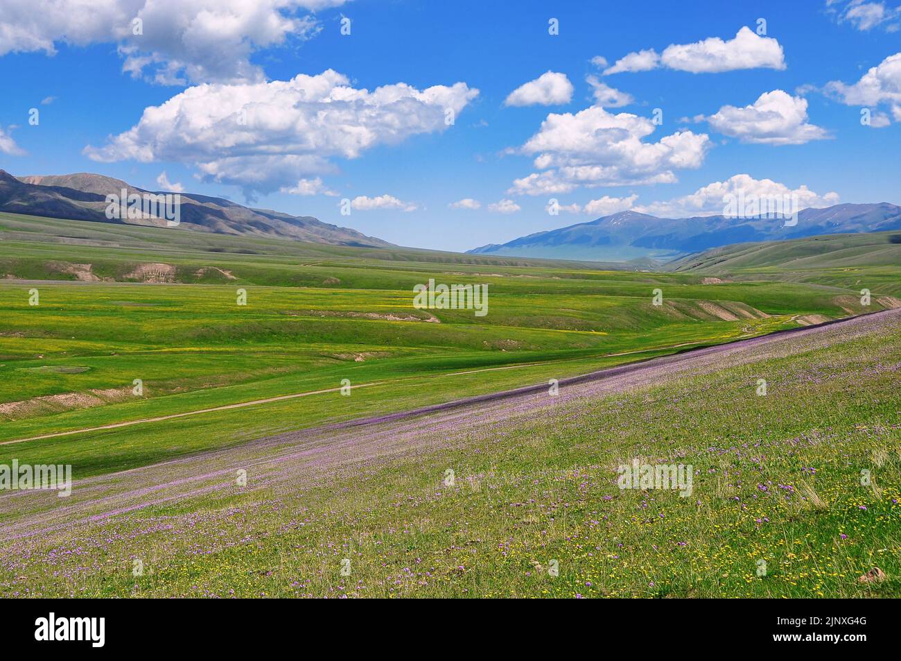 Plateau de Sassy, Kazakhstan Banque D'Images