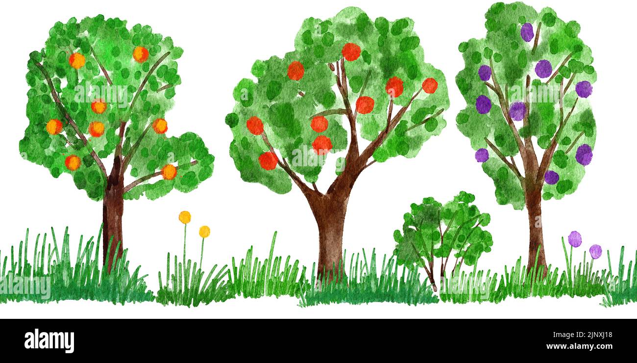 Aquarelle dessin à la main illustration sans couture de la bordure des vergers, récolte à la ferme. Feuilles vertes feuilles feuillage nourriture biologique avec herbe buissons branches. Pommes rouges jaunes, prunes, entend. Nature forêt naturelle bois image clipart Banque D'Images