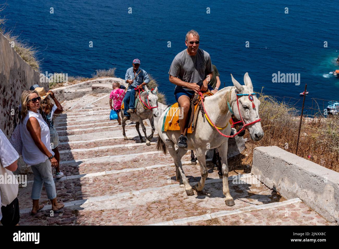 Les touristes se rendent sur le sentier escarpé du port d'Oia à la ville d'Oia par Donkey, Santorini, Iles grecques, Grèce. Banque D'Images