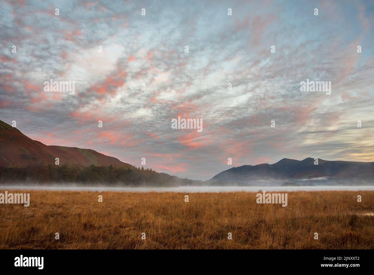 Image épique du paysage d'automne au lever du soleil en regardant depuis Manesty Park dans le lac Distict vers Skiddaw Range baigné de soleil avec mit roulant à travers Derwentwater Banque D'Images