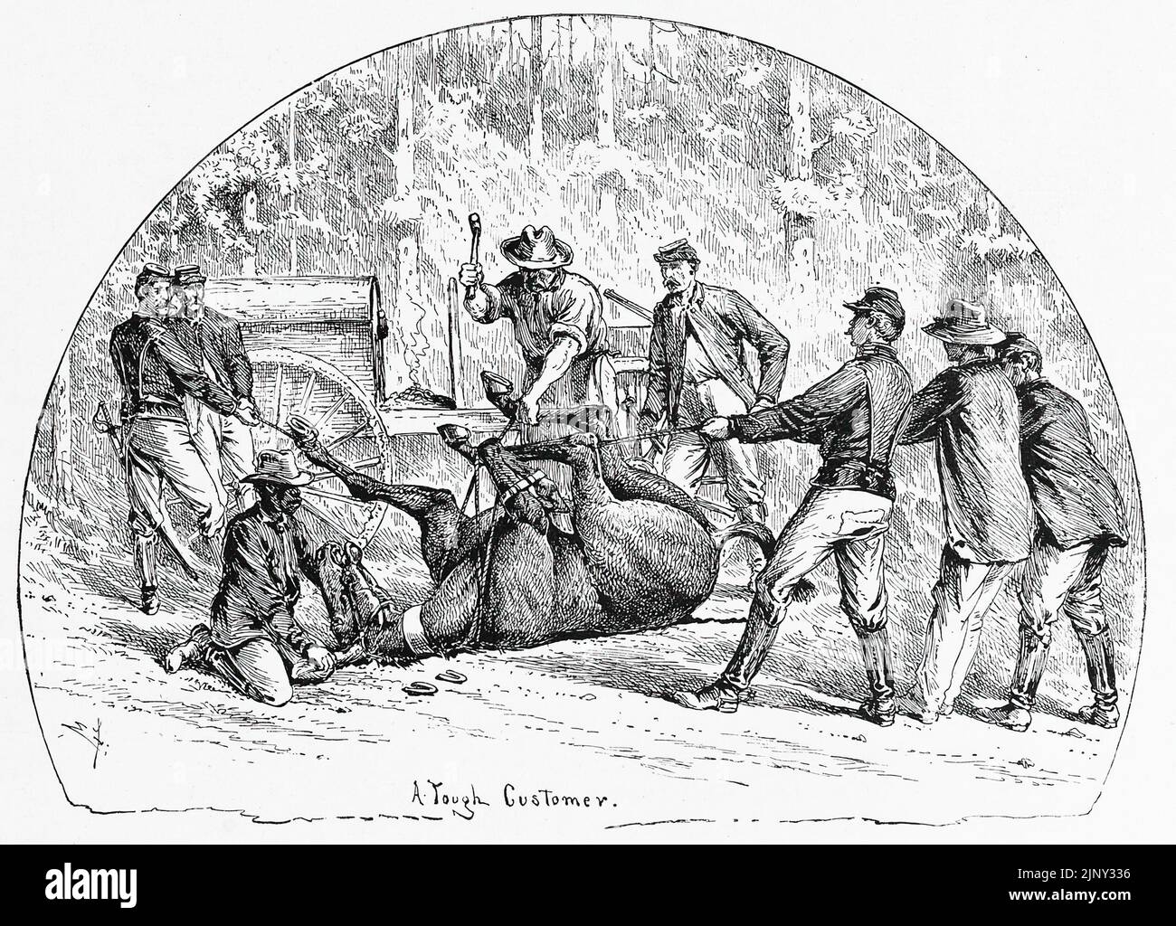 Un client difficile. Forgeron de l'armée de l'Union en train de raquette un cheval. Illustration de la guerre de Sécession de 19th siècles par Edwin Forbes Banque D'Images