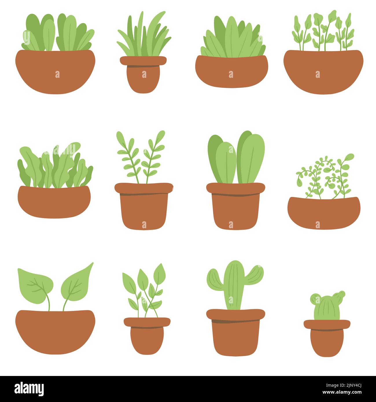 Ensemble d'illustrations vectorielles de la maison avec conception simple. Plantes d'origine dans des pots décoratifs. Illustration de Vecteur