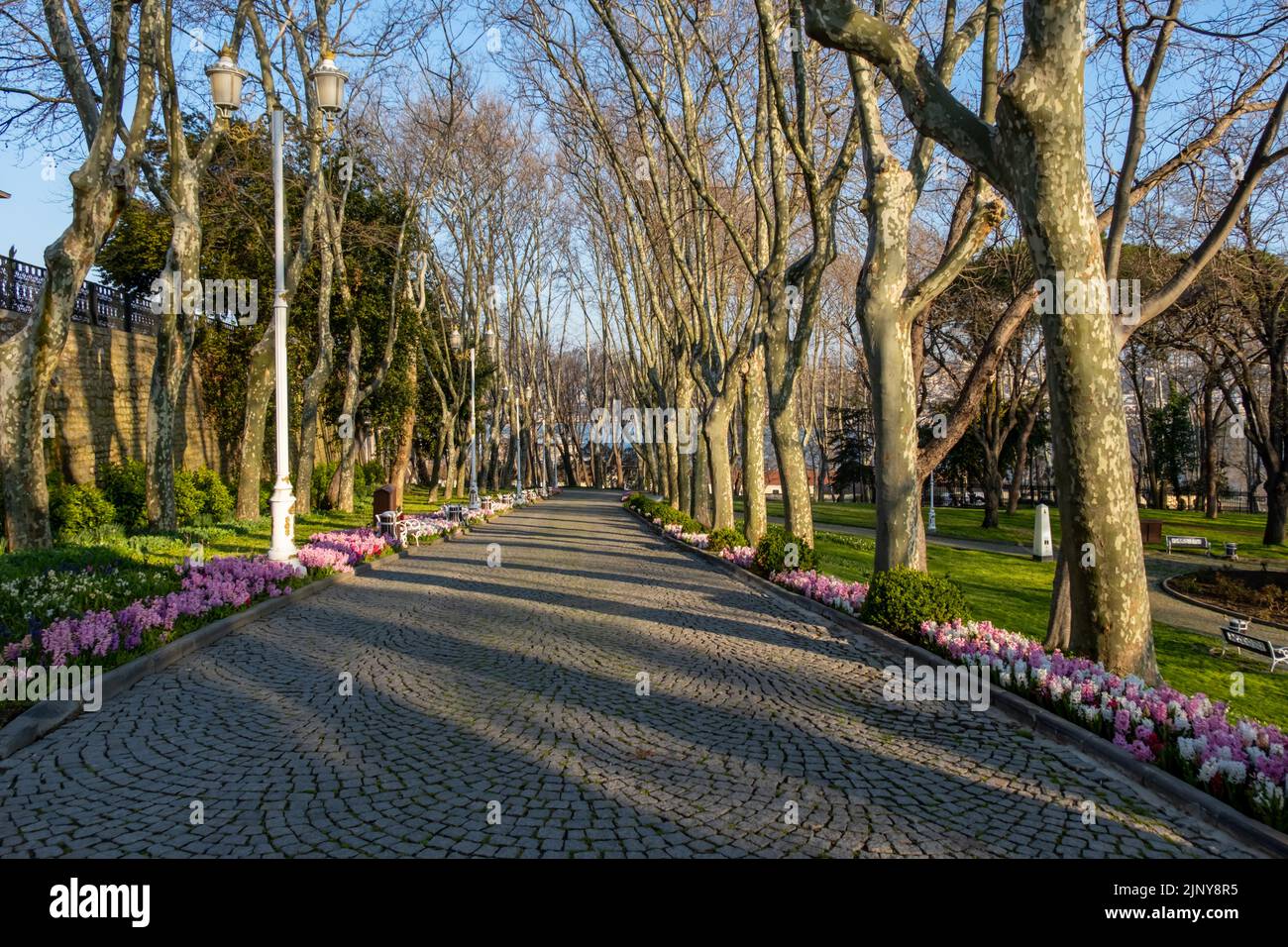 Vue sur le parc historique urbain Gulhane dans le quartier Eminonu d'Istanbul. Palais de Topkapi.Turquie. Banque D'Images