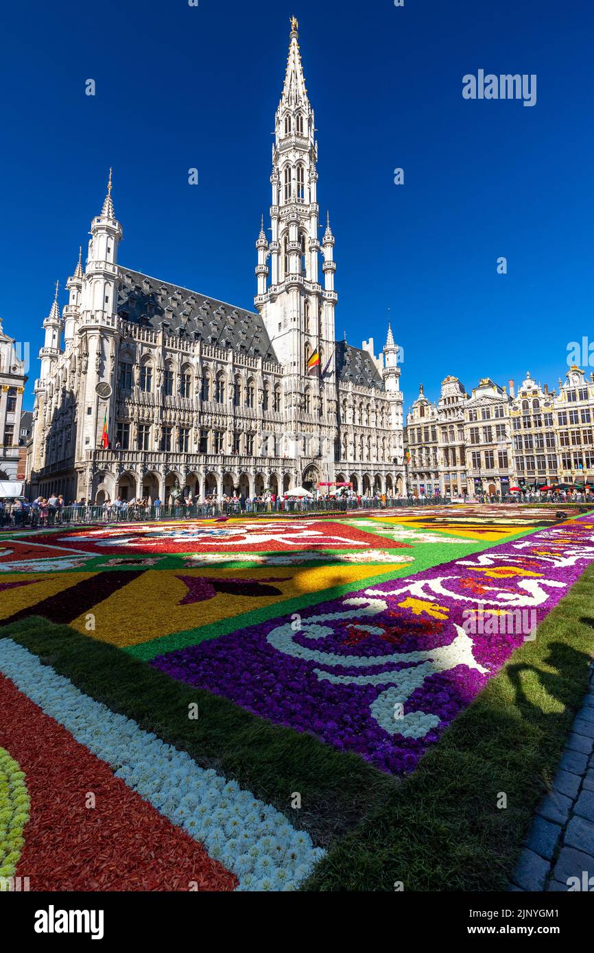 Tapis de fleurs édition 2022 à la Grand-place de Bruxelles, Belgique Banque D'Images