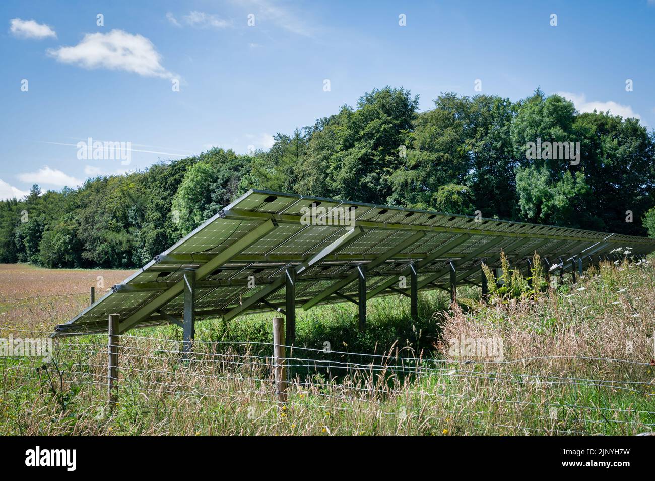 Une rangée de panneaux solaires installés dans un champ rural au Royaume-Uni. Cette vue est prise à l'arrière des panneaux Banque D'Images