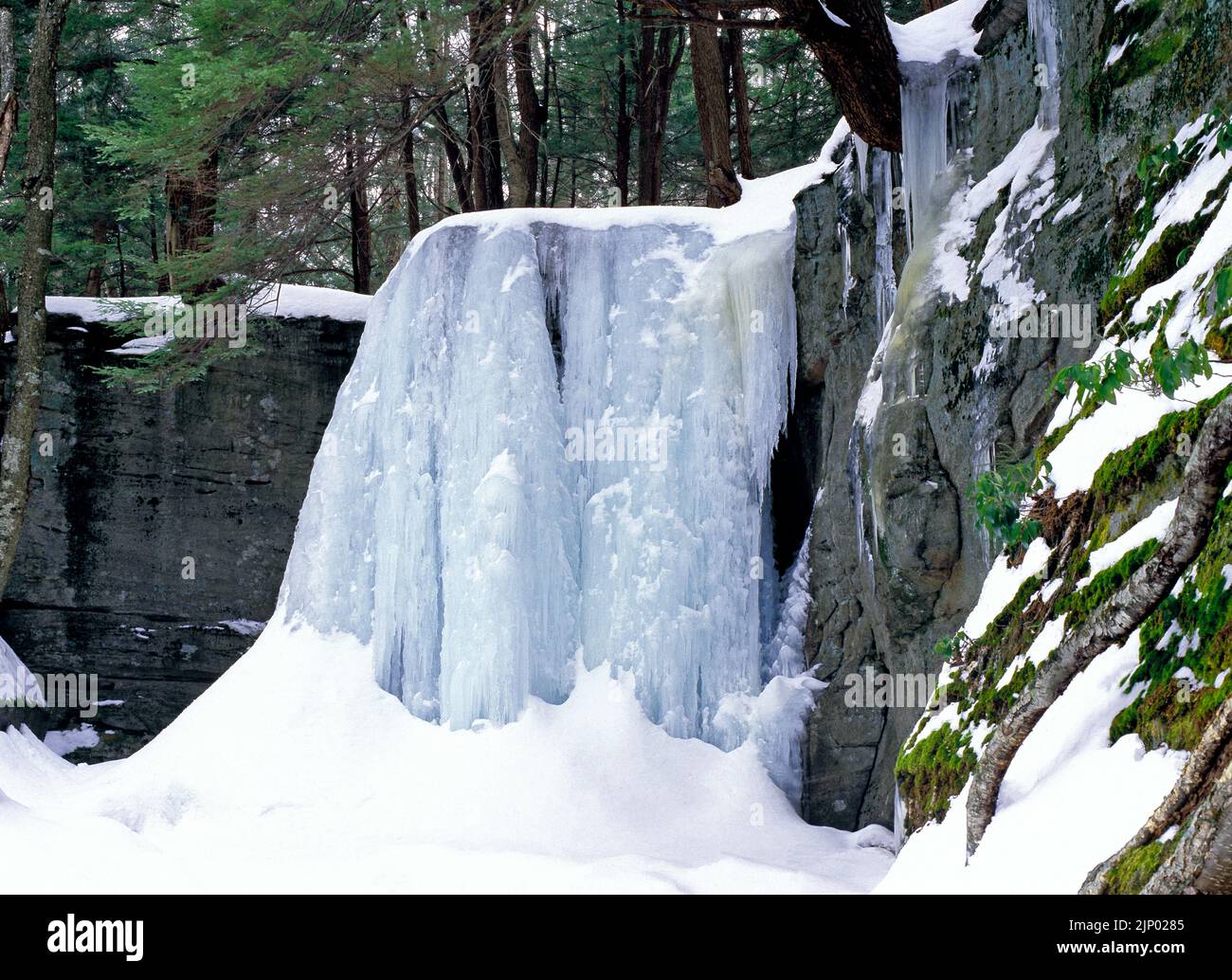 Hector Falls, d'une hauteur de 22 mètres, s'écoule au-dessus d'énormes rochers de grès dans la forêt nationale d'Allegheny, en Pennsylvanie. Banque D'Images
