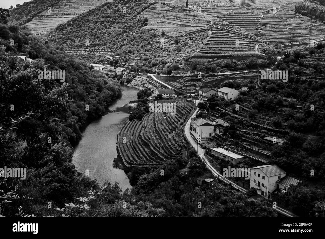 Vue sur la vallée du Douro, Porto, Portugal. Photo en noir et blanc. Banque D'Images