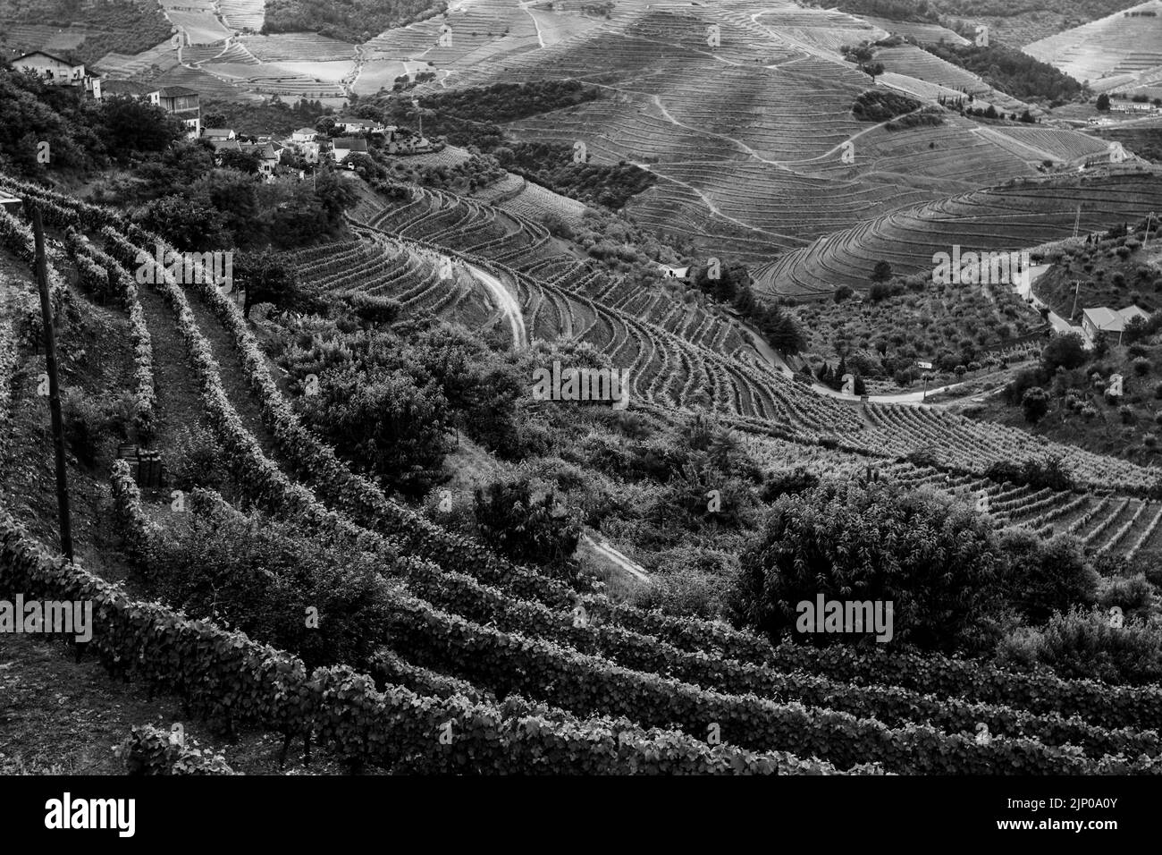 Vue sur les collines de la vallée du Douro, Porto, Portugal. Photo en noir et blanc. Banque D'Images