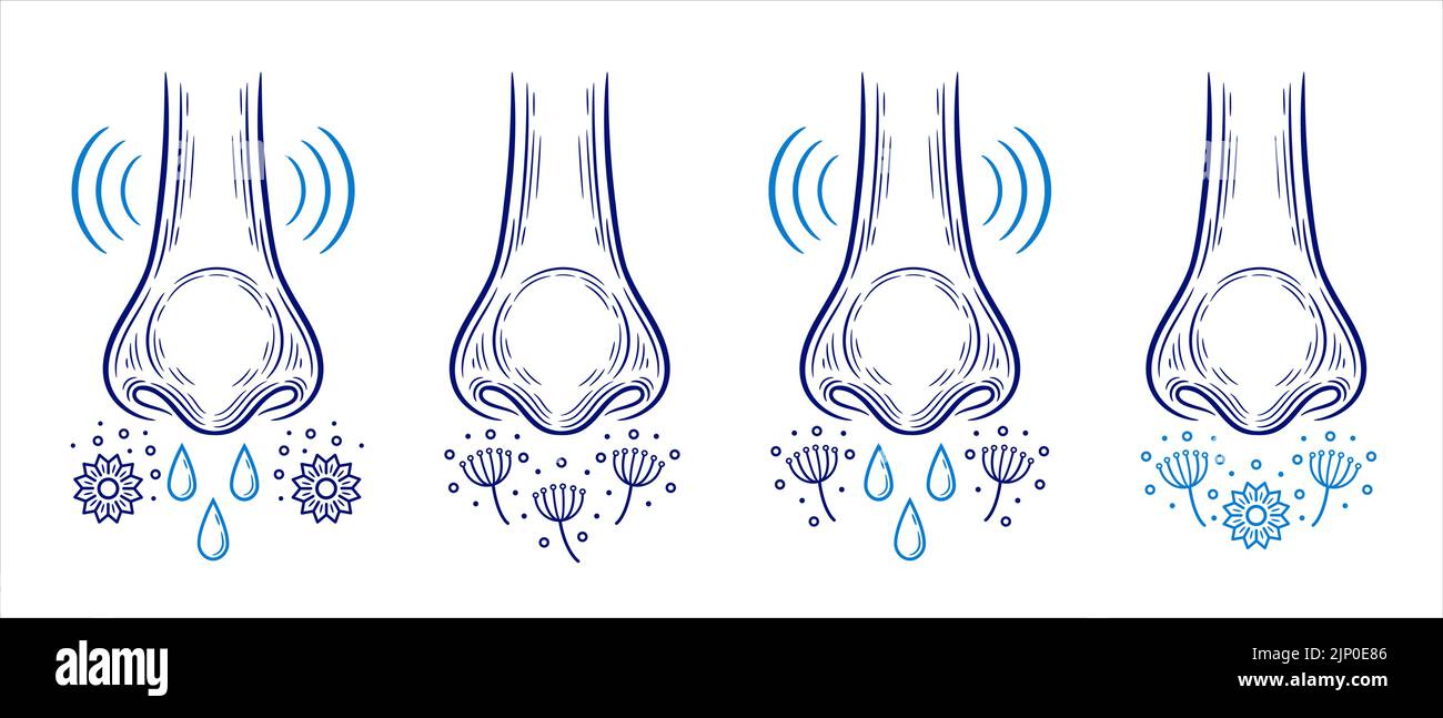 Rhinite allergique au pollen, écoulement nasal réaction allergique saisonnière, icône rhume des foins. Poussière, allergène de floraison inhalé. Gouttes de snot, vecteur d'inflammation nasale Illustration de Vecteur Rhinite allergique au pollen, écoulement nasal réaction allergique saisonnière, icône rhume des foins. Poussière, allergène de floraison inhalé. Gouttes de snot, vecteur d'inflammation nasale Illustration de Vecteur