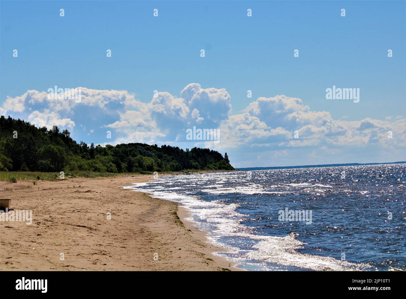 La belle nature de la Lettonie. Banque D'Images