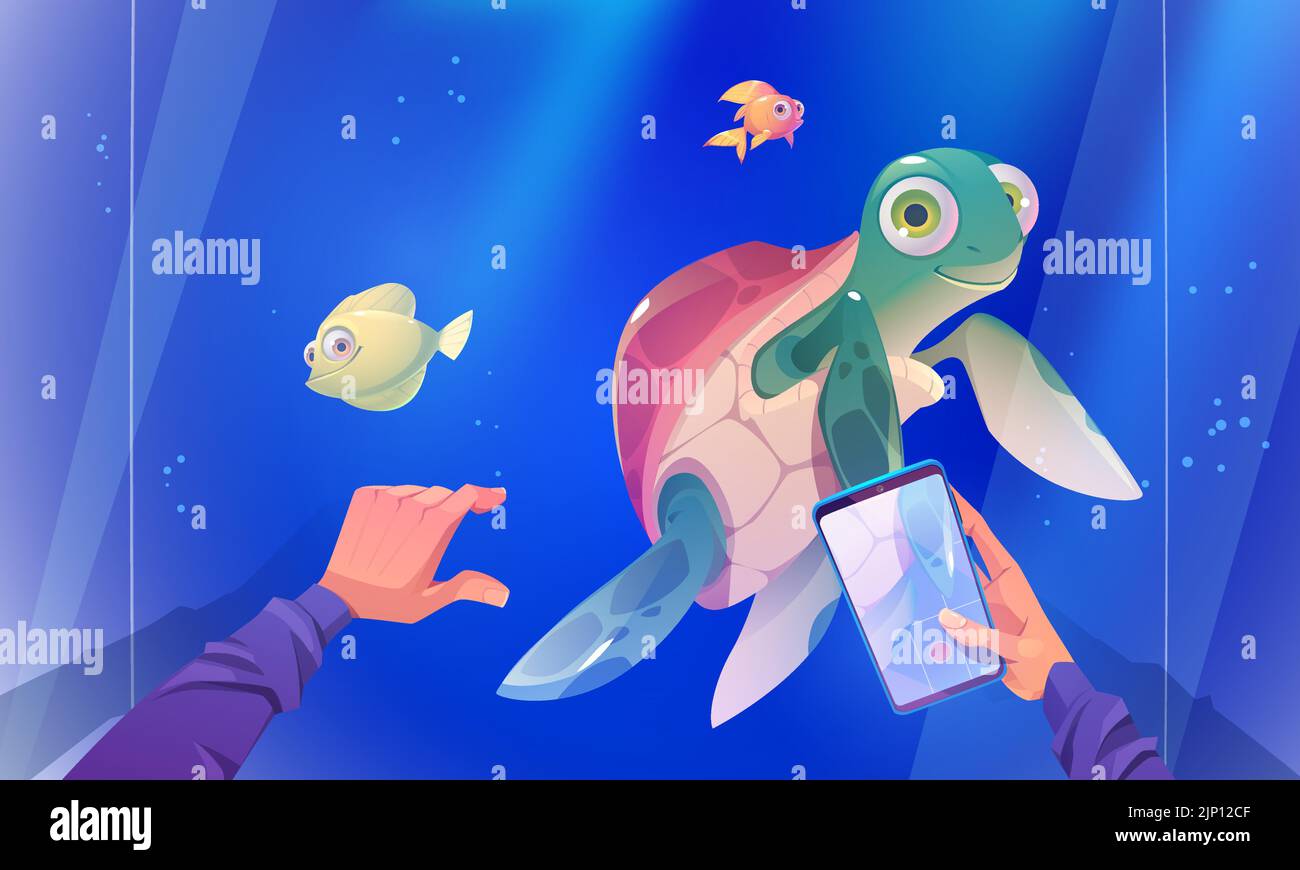 Enregistrement de personnages vidéo de la natation de tortues dans l'aquarium avec des poissons. Visiteur en oceanarium avec des animaux de mer, reptile de tortue mignon nager dans l'eau bleue derrière le mur de verre, illustration vectorielle de dessin animé Illustration de Vecteur